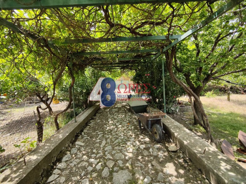 Land in Chios, Aegean, Greece 2 - 15635620