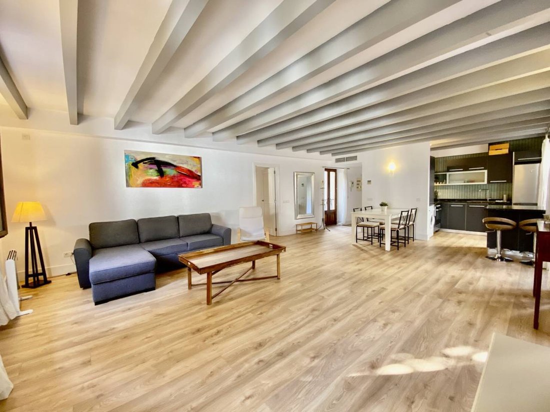 Apartment in Palma, Balearic Islands, Spain 1 - 17243572