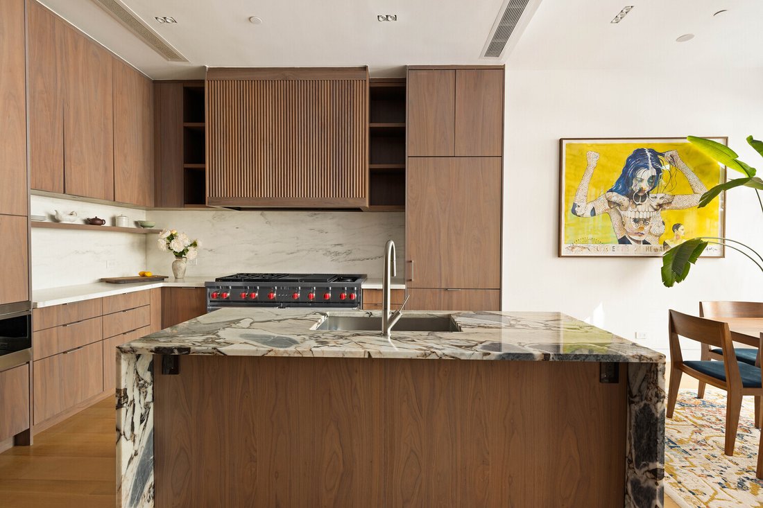 House in New York, New York, United States 4 - 17243894