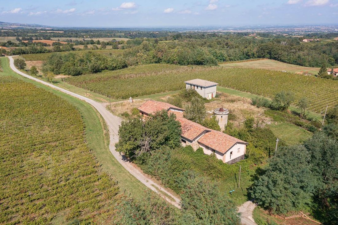 Andere in Vigolzone, Emilia-Romagna, Italien 1 - 17243189