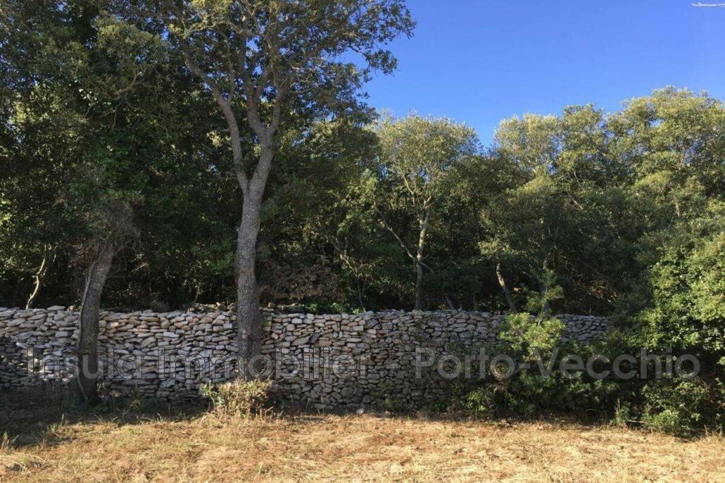 Apartment in Bonifacio / Bunifaziu, Corsica, France 2 - 17241208