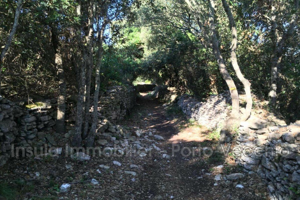 Apartment in Bonifacio / Bunifaziu, Corsica, France 1 - 17241208