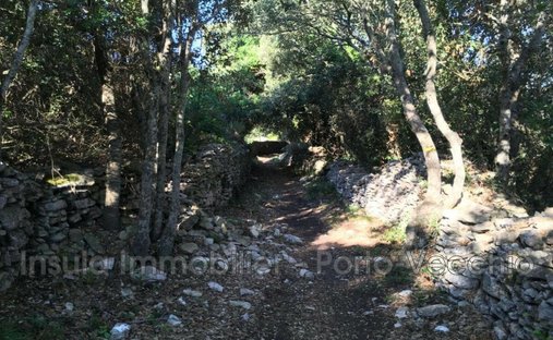 Apartamento en Bonifacio / Bunifaziu, Córcega, Francia 1