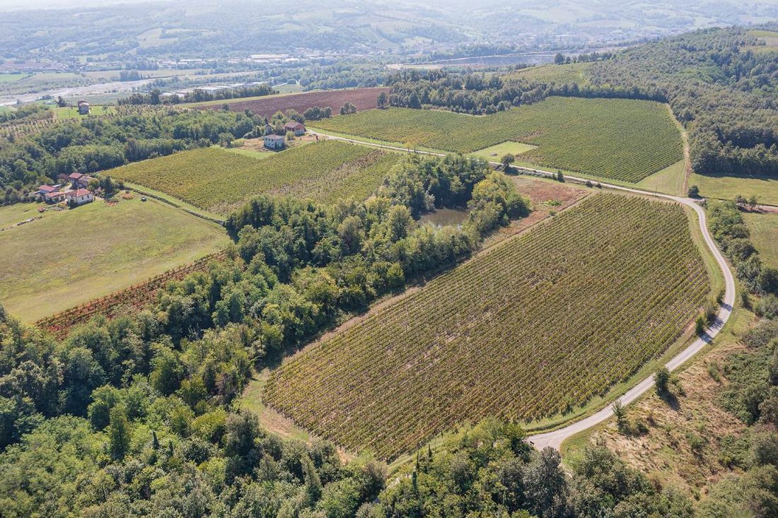 Andere in Vigolzone, Emilia-Romagna, Italien 5 - 17243189