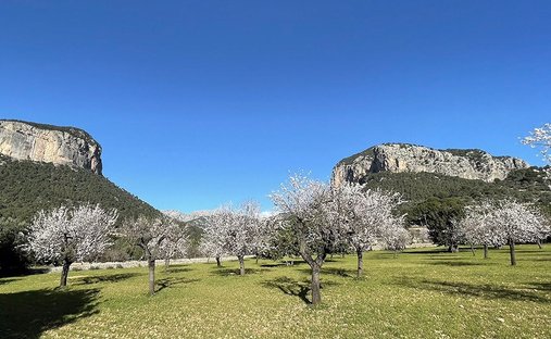 Maisons de campagne à Alaró, Îles Baléares, Espagne 1