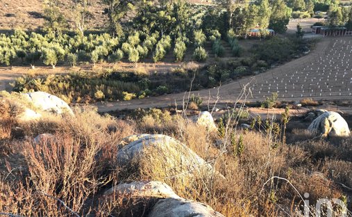 Terreno in Mexico 1