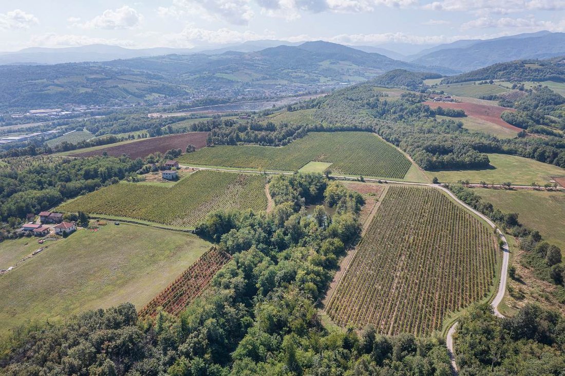 Andere in Vigolzone, Emilia-Romagna, Italien 4 - 17243189
