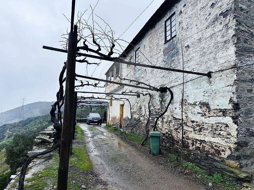 Finca a Poiares e Canelas, Distretto di Vila Real, Portogallo 5 - 17240970