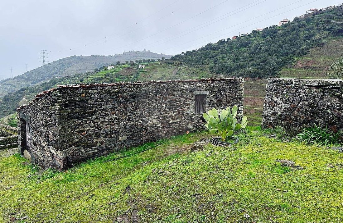 Finca a Poiares e Canelas, Distretto di Vila Real, Portogallo 2 - 17240970
