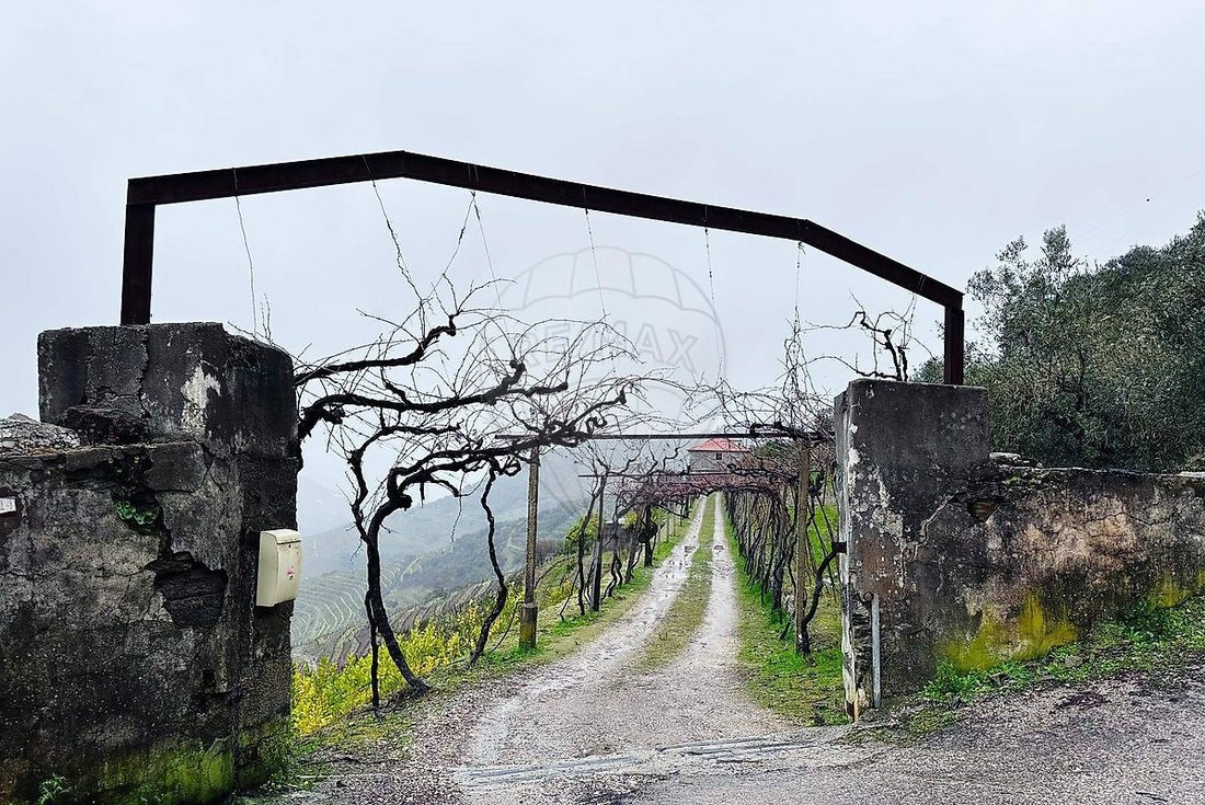 Finca a Poiares e Canelas, Distretto di Vila Real, Portogallo 3 - 17240970