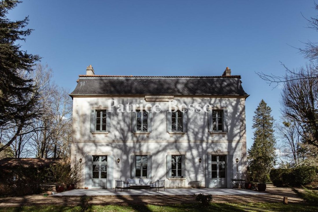 Castillo en Montfort-en-Chalosse, Nueva Aquitania, Francia 4 - 17241029