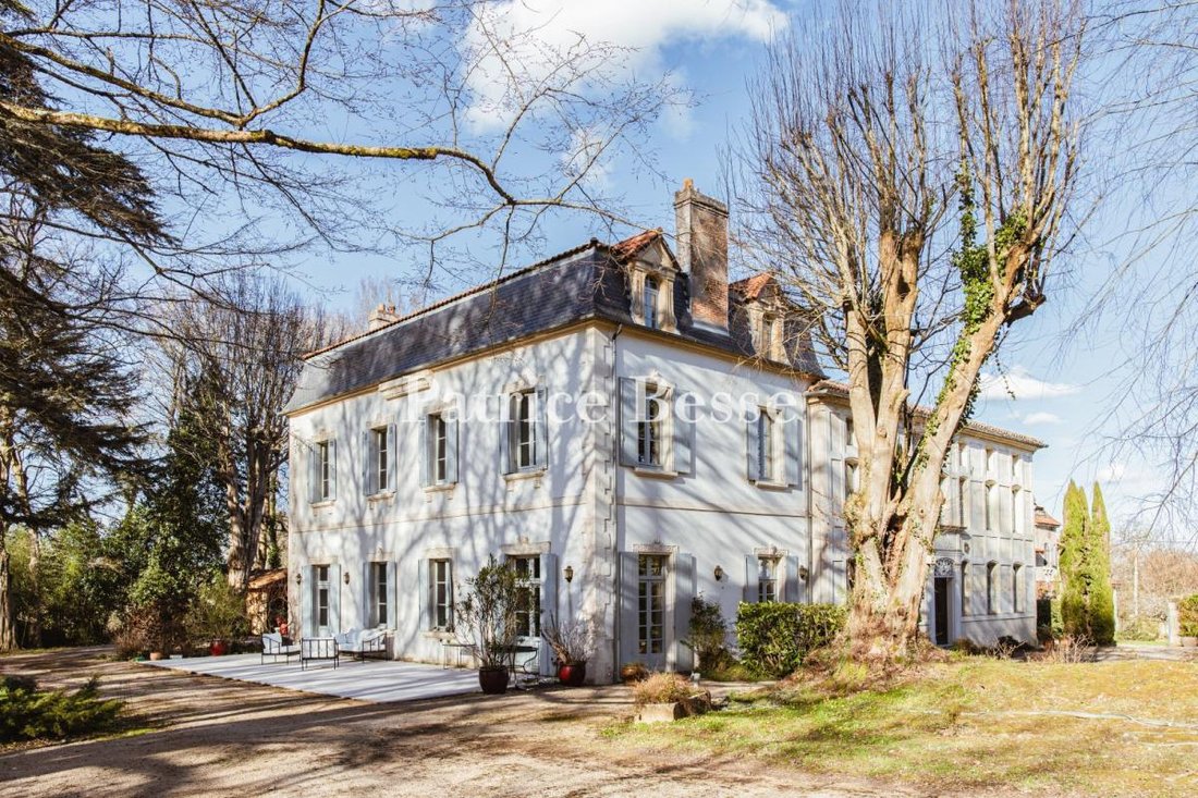 Castle in Montfort-en-Chalosse, Nouvelle-Aquitaine, France 4 - 17241029
