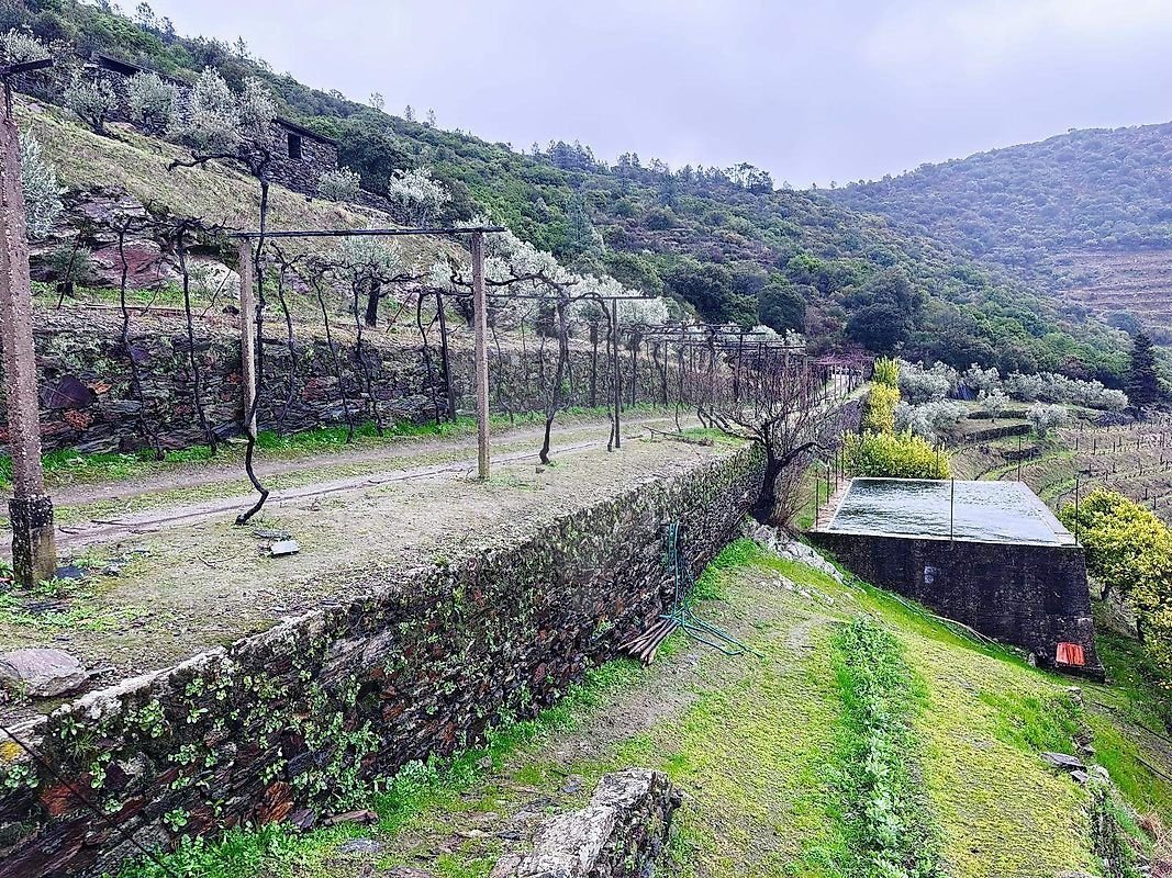 Finca in Poiares e Canelas, Vila Real District, Portugal 5 - 17240970