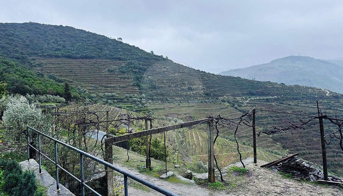 Finca a Poiares e Canelas, Distretto di Vila Real, Portogallo 1 - 17240970
