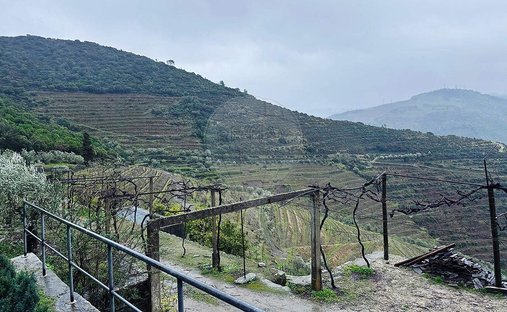 Finca in Poiares e Canelas, Vila Real, Portugal 1
