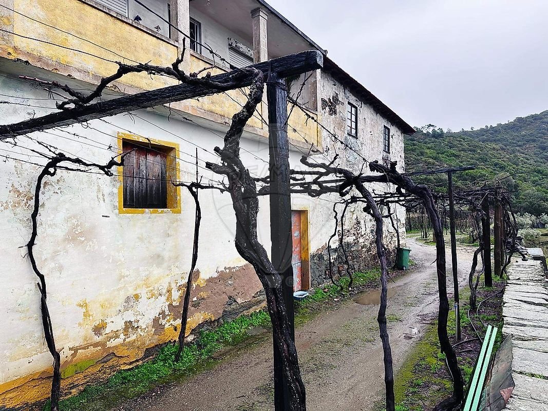 Finca a Poiares e Canelas, Distretto di Vila Real, Portogallo 4 - 17240970