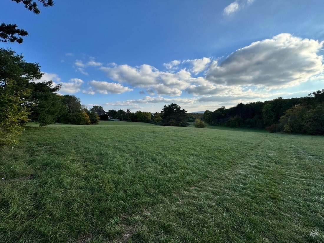 Farm Ranch in Darois, Bourgogne – Franche-Comté, France 1 - 17244868