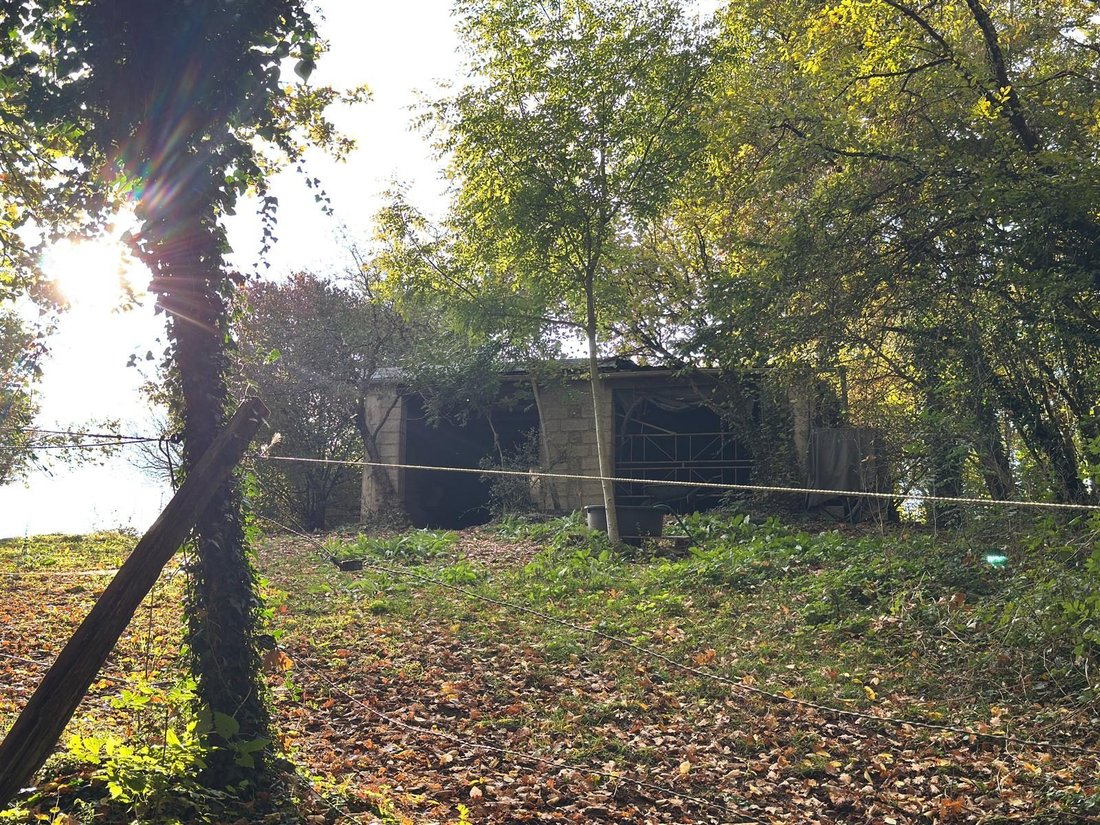 Farm Ranch in Darois, Bourgogne – Franche-Comté, France 5 - 17244868