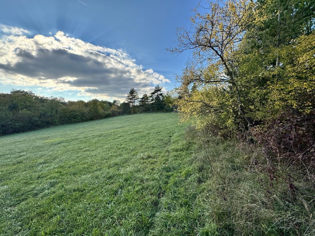 Farm Ranch in Darois, Bourgogne – Franche-Comté, France 2 - 17244868