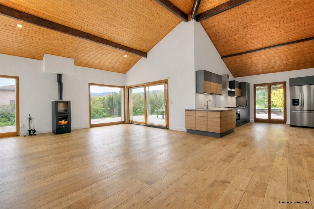 House in Pougny, Auvergne-Rhône-Alpes, France 5 - 16538010