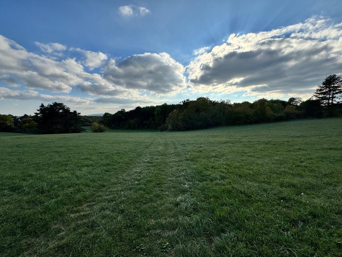 Farm Ranch in Darois, Bourgogne – Franche-Comté, France 4 - 17244868