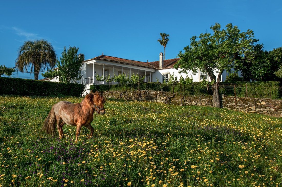 Villa in Tabua, Coimbra District, Portugal 3 - 17245830