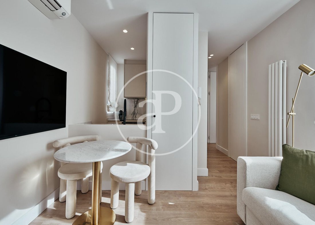 Apartment in Barrio Salamanca, Madrid, Spain 3 - 16774412