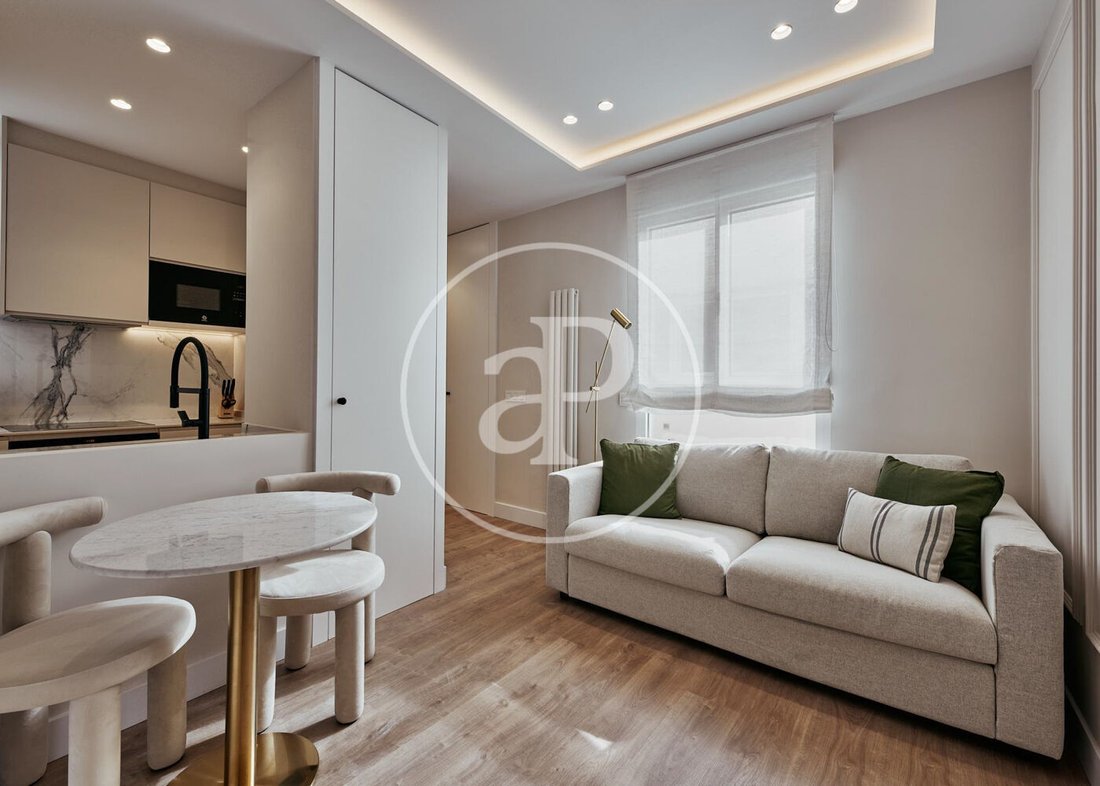 Apartment in Barrio Salamanca, Madrid, Spain 1 - 16774412