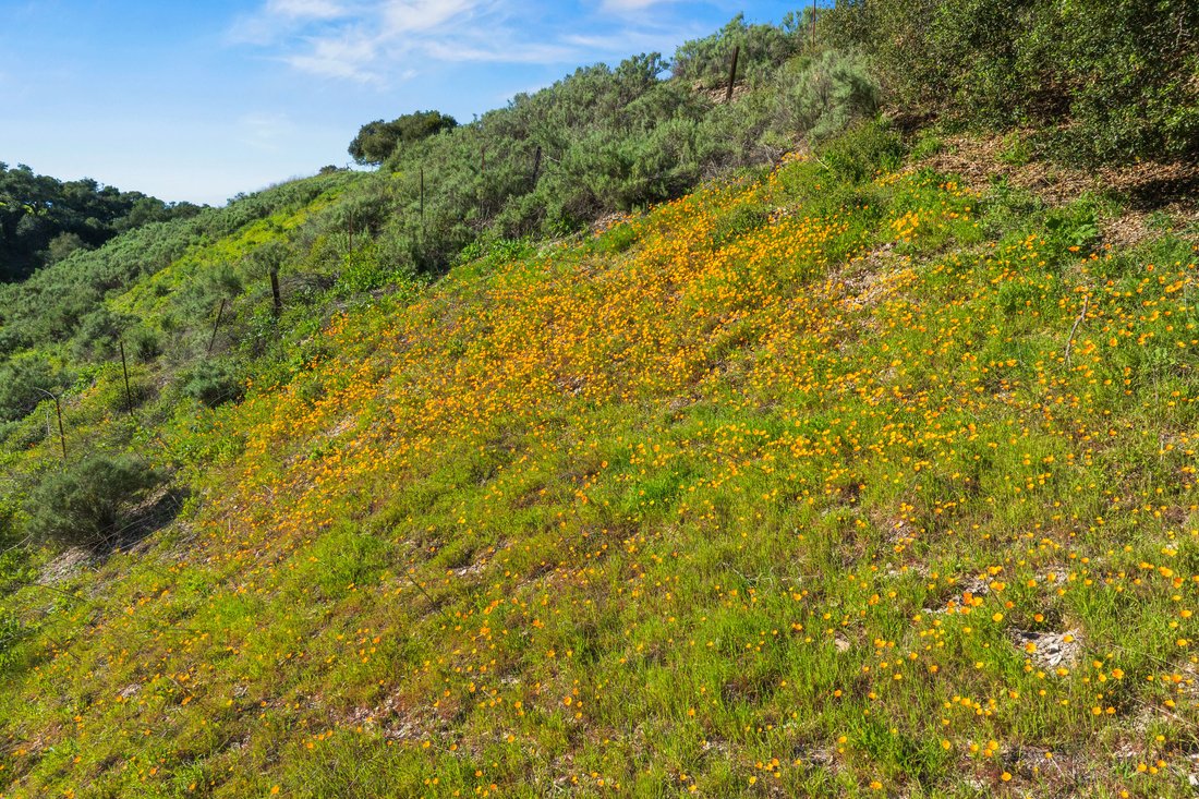 Land in Buellton, California, United States 1 - 17246154