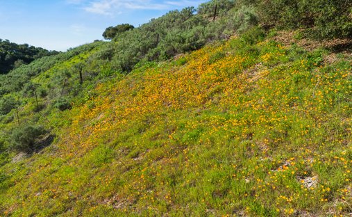 Land in Buellton, California, United States 1
