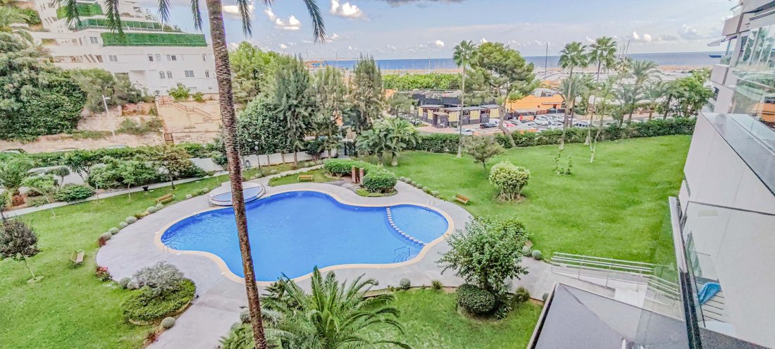 Apartment in Portals Nous, Calvia, Balearic Islands 1 - 17246486