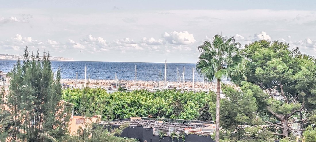 Apartment in Portals Nous, Calvia, Balearic Islands 3 - 17246486