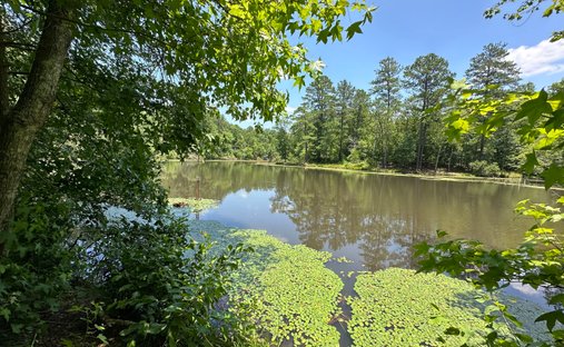 Land in Alcovy Shores, Georgia, United States 1