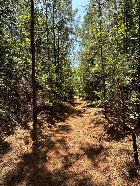 Land in Alcovy Shores, Georgia, United States 2 - 17246172
