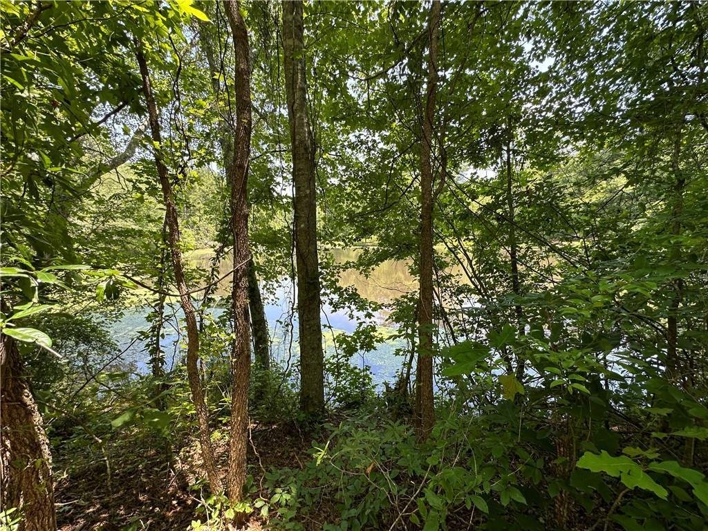 Land in Alcovy Shores, Georgia, United States 5 - 17246172