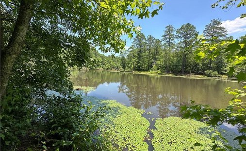 Land in Alcovy Shores, Georgia, United States 1