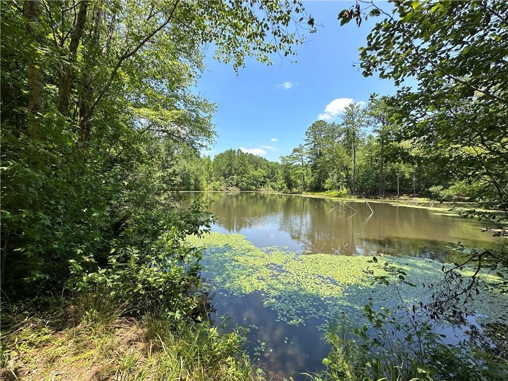Land in Alcovy Shores, Georgia, United States 4 - 17246172