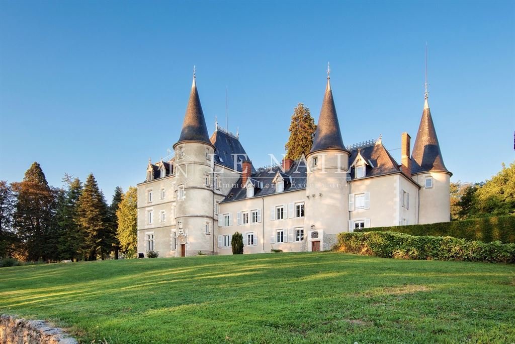 Castle in Thermal-Vieux-Vican, Vichy, France 5 - 16041235