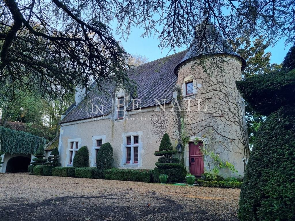 Estate in Montoire-sur-le-Loir, Centre-Val de Loire, France 2 - 16796299