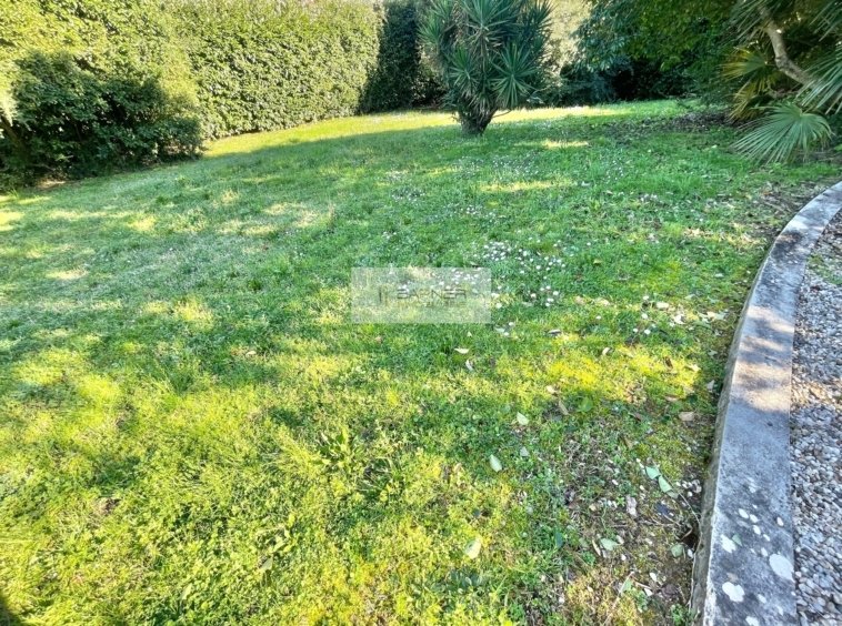 Villa in Capezzano Pianore, Camaiore, Tuscany 1 - 17247187
