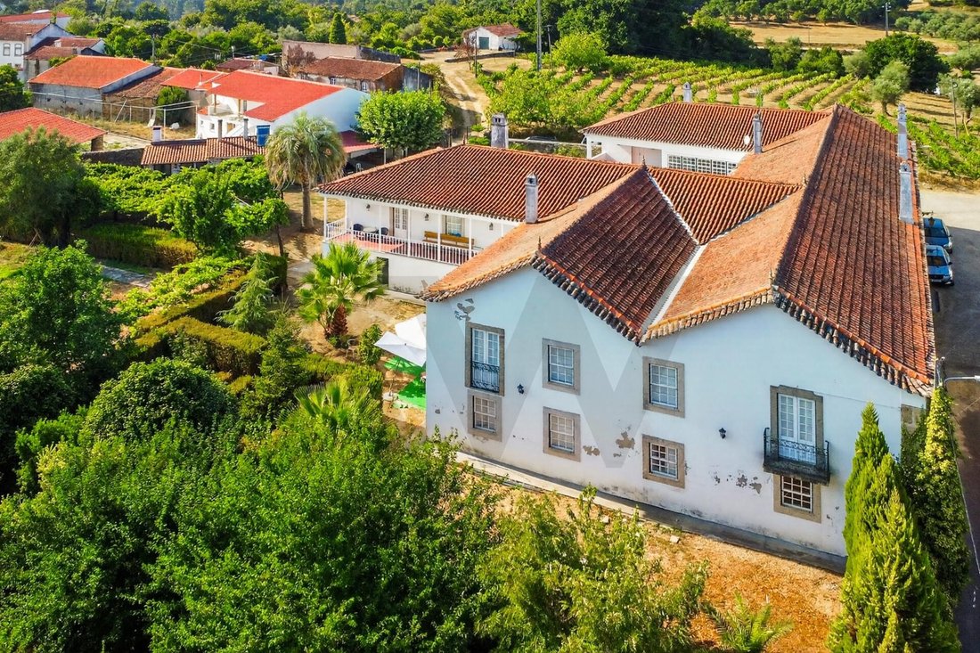 Farm Ranch in Espariz e Sinde, Coimbra District, Portugal 1 - 17251356