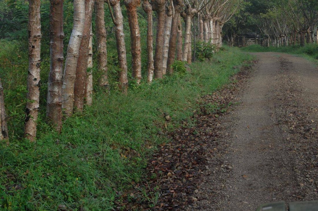 Land in Hojancha, Guanacaste Province, Costa Rica 5 - 17249318