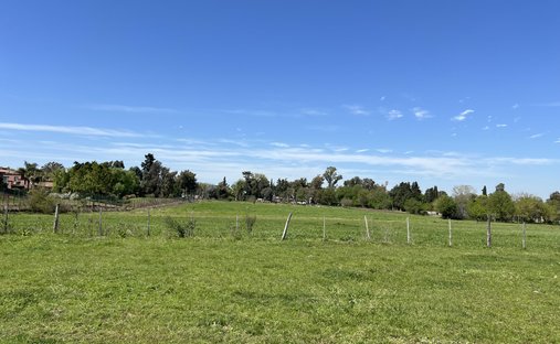 Azienda agricola a La Lonja, Provincia di Buenos Aires, Argentina 1