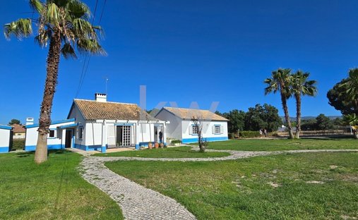 Haus in Azeitao (Sao Lourenco und Sao Simao), Setúbal Municipality, Portugal 1