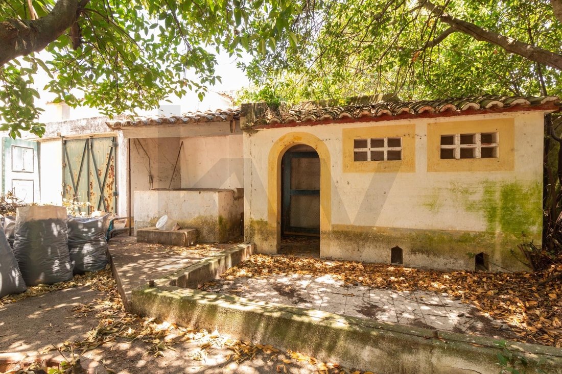 House in Evora (Sao Mamede, Se, Sao Pedro e Santo Antao), Évora District, Portugal 2 - 17251500