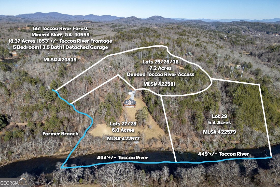 Land in Mineral Bluff, Georgia, United States 1 - 17249381