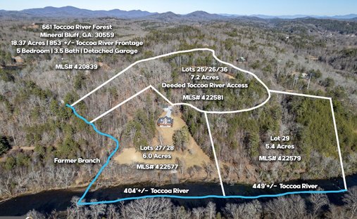 Land in Mineral Bluff, Georgia, United States 1
