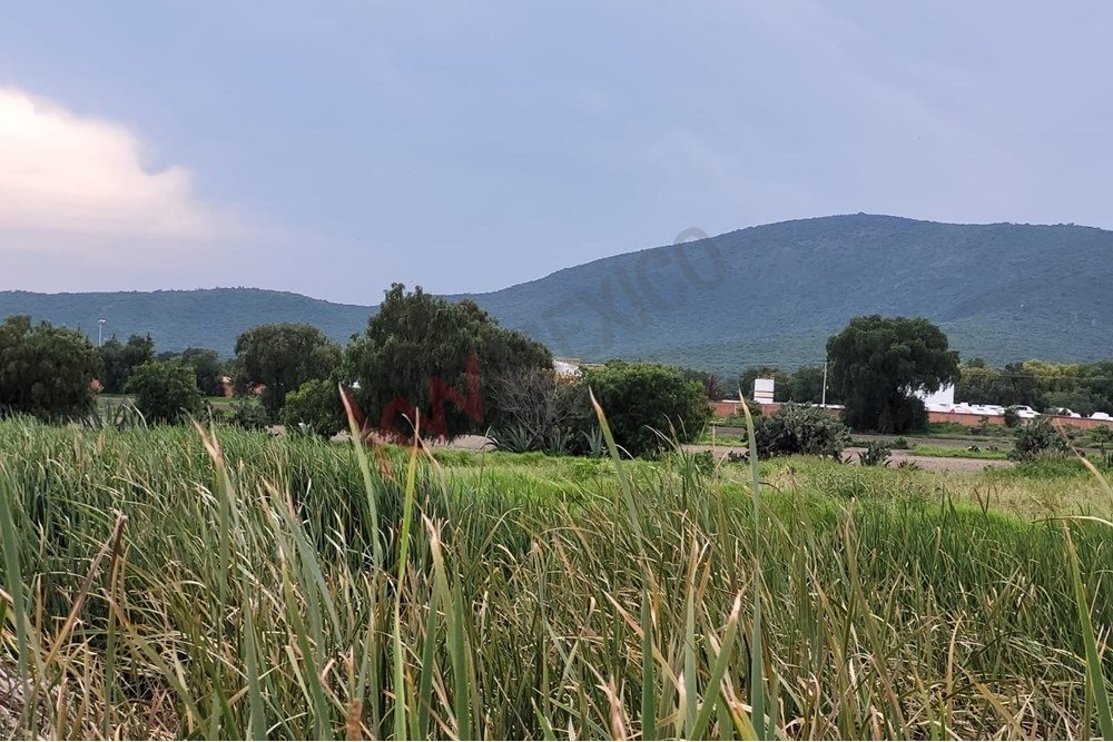 Land in San Miguel Eyacalco, Hidalgo, Mexico 5 - 17249546