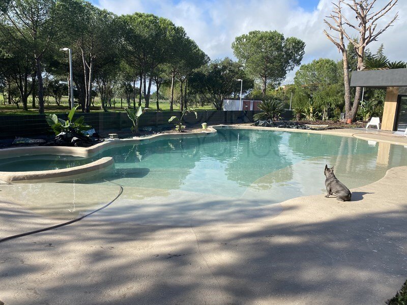 House in Santo Estevao, Santarem District, Portugal 2 - 17248067