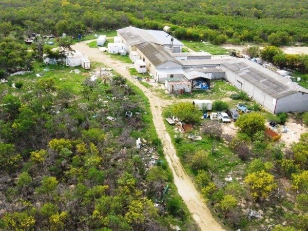 Farm Ranch in Cape Town, Western Cape, South Africa 1 - 17252280